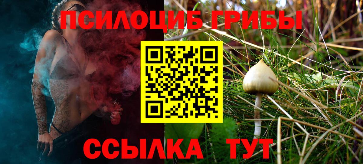 Галлюциногенные грибы GOLDEN TEACHER  Псилоцибиновые грибы прущие грибы  Тейково  Вход с VPN 