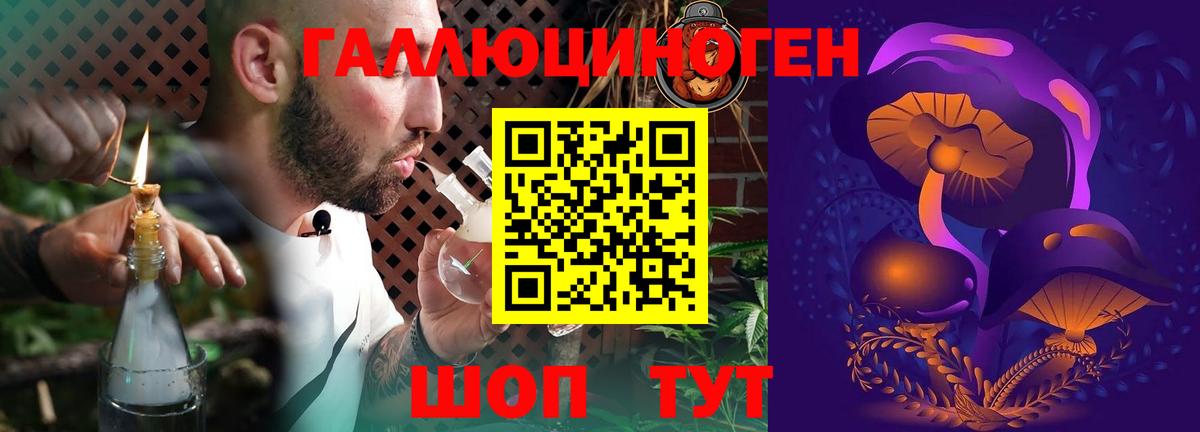 Галлюциногенные грибы прущие грибы Тейково